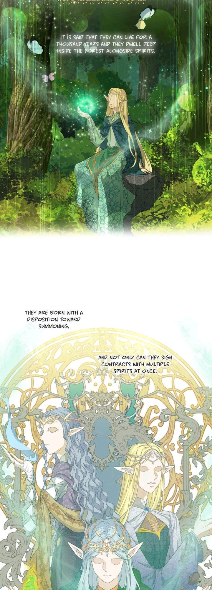 The Golden Haired Elementalist - Chapter 57 Page 39