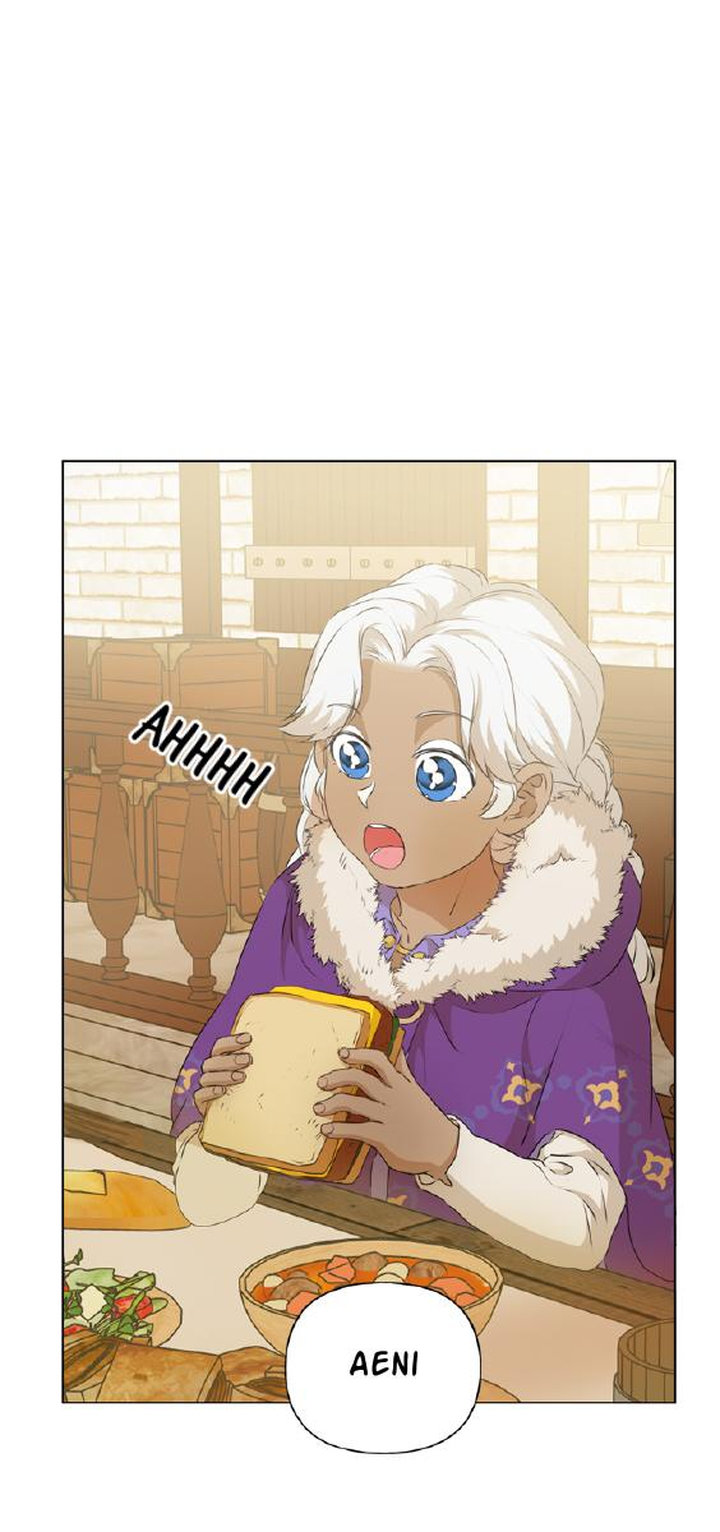 The Golden Haired Elementalist - Chapter 66 Page 47