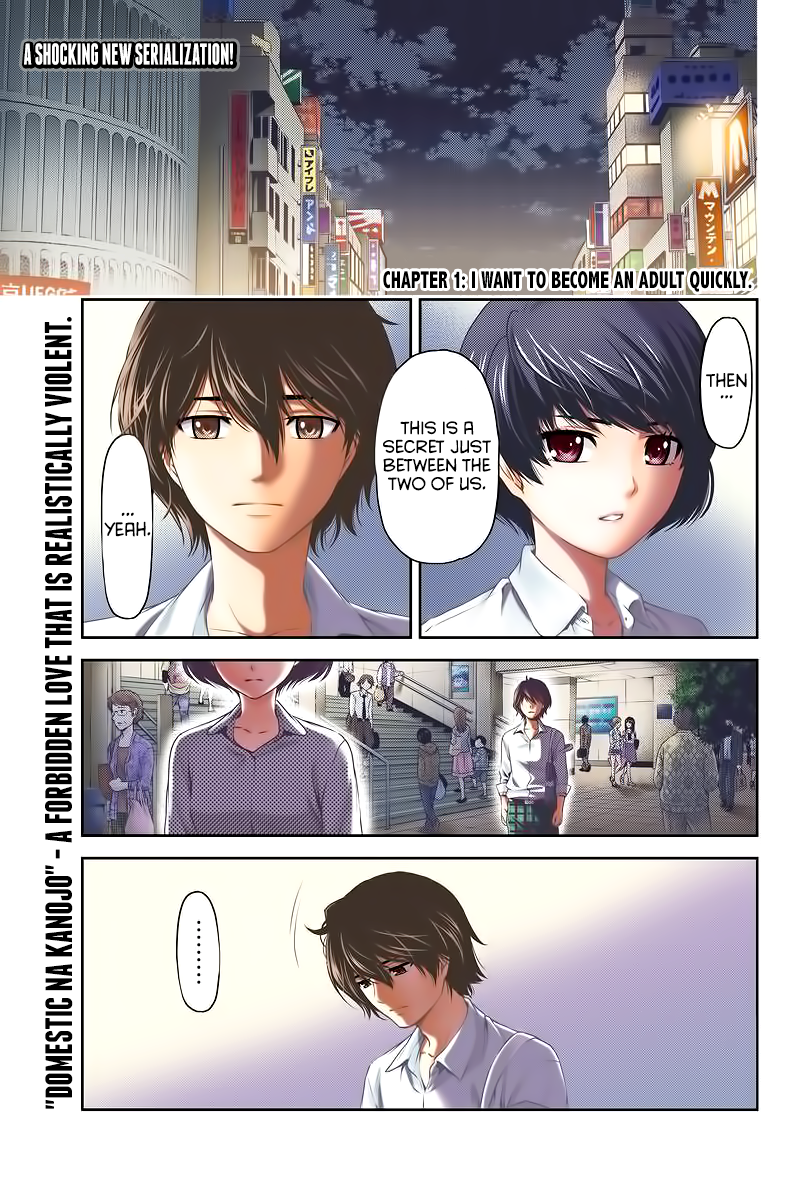 Domestic na Kanojo - Chapter 248 Page 4