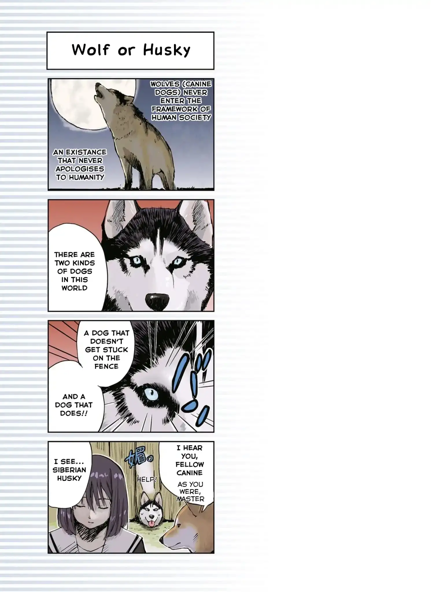 Sekai no Owari ni Shiba Inu to - Chapter 11 Page 7