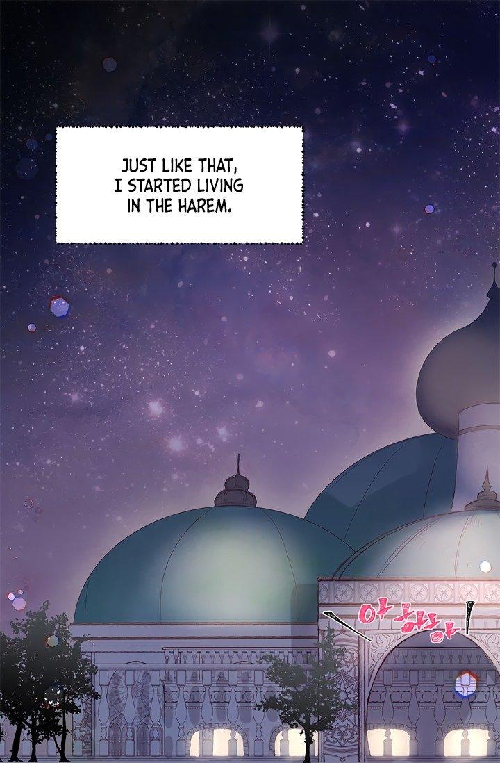Sultan’s Love - Chapter 1 Page 16
